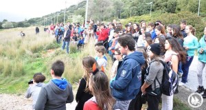 archipelago-brids (4)