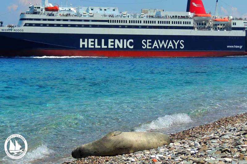 Hellenic-Seal.jpg