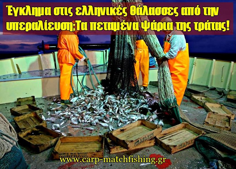 Η κακοδιαχείρηση των αλιευμάτων και η καταστροφή των ιχθυαποθεμάτων της Ελλάδας από τις τράτες, με τόνους πεταμένων ψαριών!