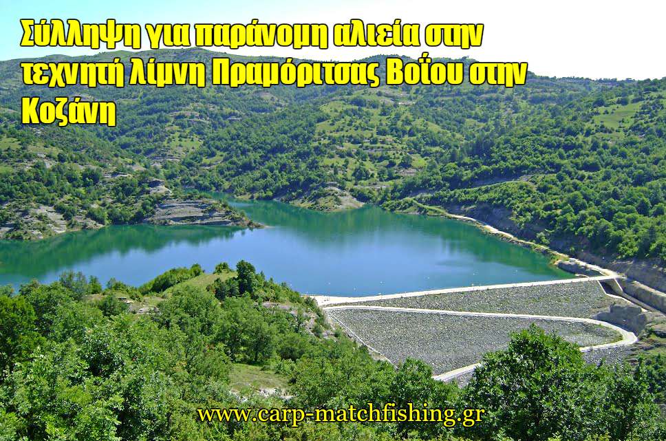 paranomi-alieia-stin-limmni-pramorirsas-kozanis-carpmatchfishing.jpg