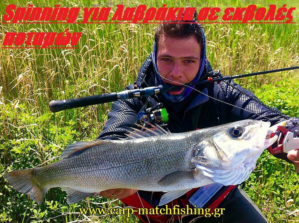 Spinning για λαβράκια και γοφάρια σε εκβολές ποταμών