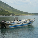 Το Άβαταρ του/της vasilis