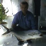 Το Άβαταρ του/της Αντώνης Ζάγκλης (pirgos)