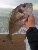 Το Άβαταρ του/της Vasilis