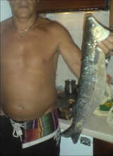 Το Άβαταρ του/της ΓΙΩΡΓΟΣ 