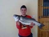 GIANNHS