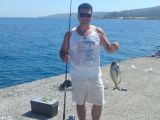 gemis