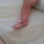 VASILIS