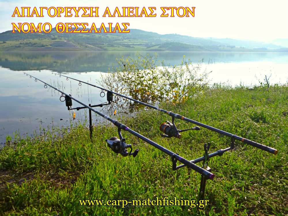 smokovo-lake-carpmatchfishing-apagoreysi-psarematos-alieias.jpg
