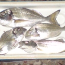 DSC00323