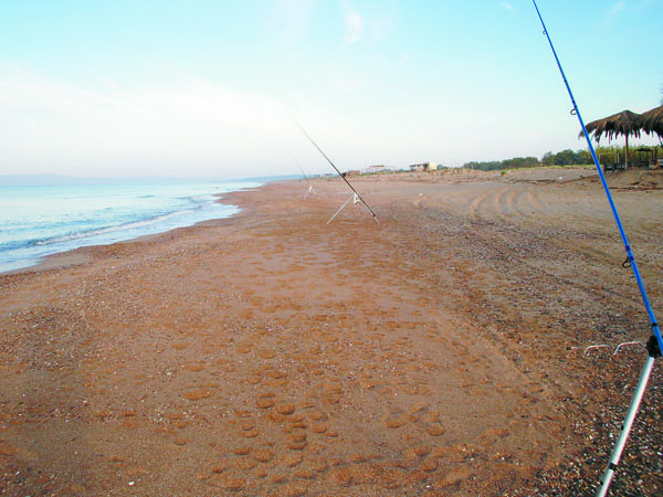 15__-_AN