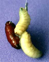 image014