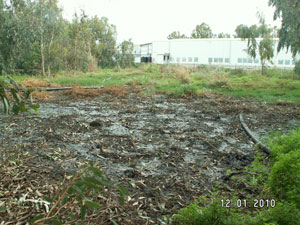 CretaFarmRethymnob